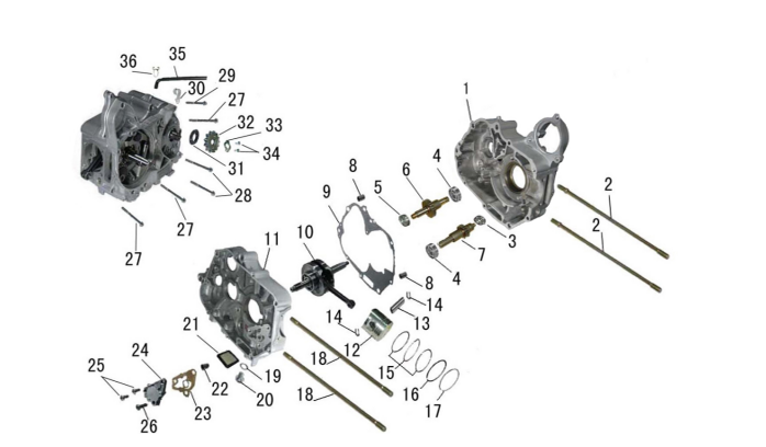 Rol de Transmision Kit para Pitsterpro XJR MX FXR / Kayo AY TS TSD TD TT 125