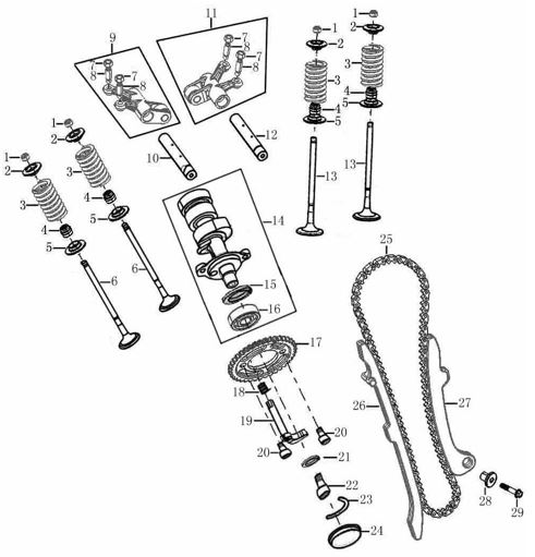 Cadena Distribución Pitsterpro LXR 250 / Kayo K6
