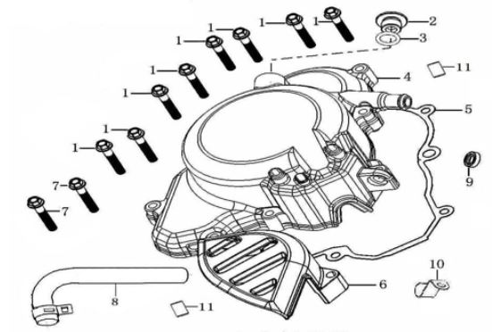 Empaque de Bolante para Pitsterpro LXR 250 / Freedom RX3