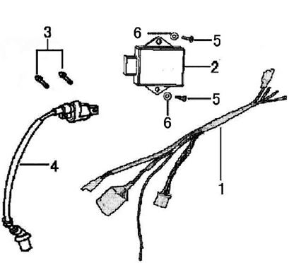 Cableado Instalación Pitsterpro X4, LXR 155 2008-2009