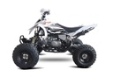 Calcomanias Set Pitsterpro FXR