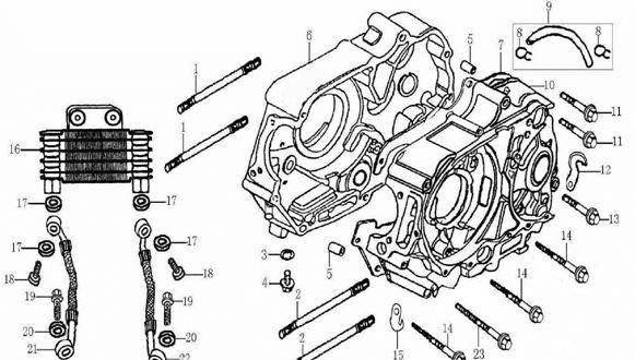 Block Izquierdo de Motor para Pitsterpro / Kayo 150 -160 cc