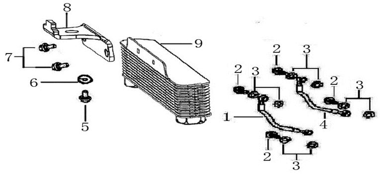Manguera Radiador Pitsterpro / Kayo 150 – 160 cc