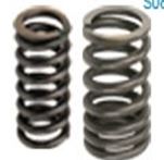 Resorte de Valvula para Motocicleta Tipo Freedom ZS, Formula Nano, Katana CG o Similar (par)