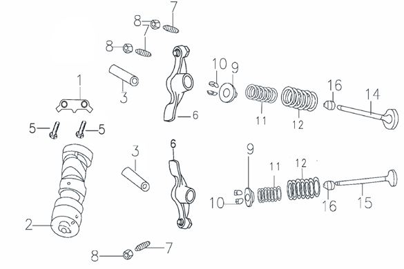 Resorte de Valvula para Pitsterpro / Kayo 150 – 160 cc (Kit)