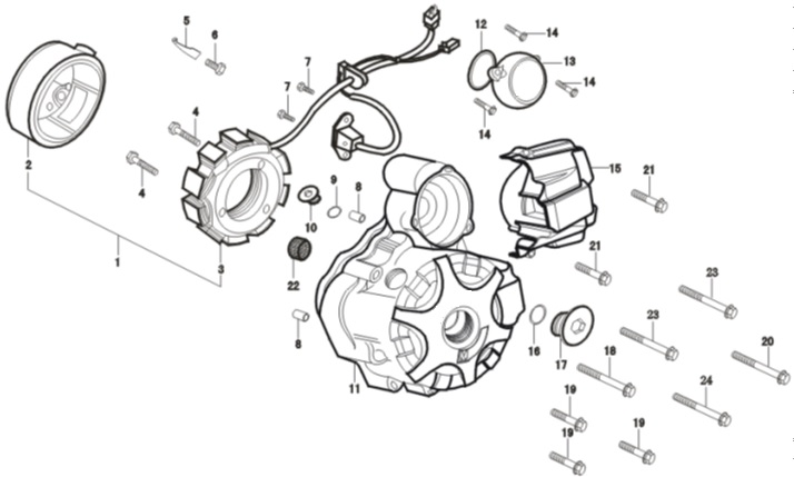Bobinas Pitsterpro XTR250 LC 2009-11