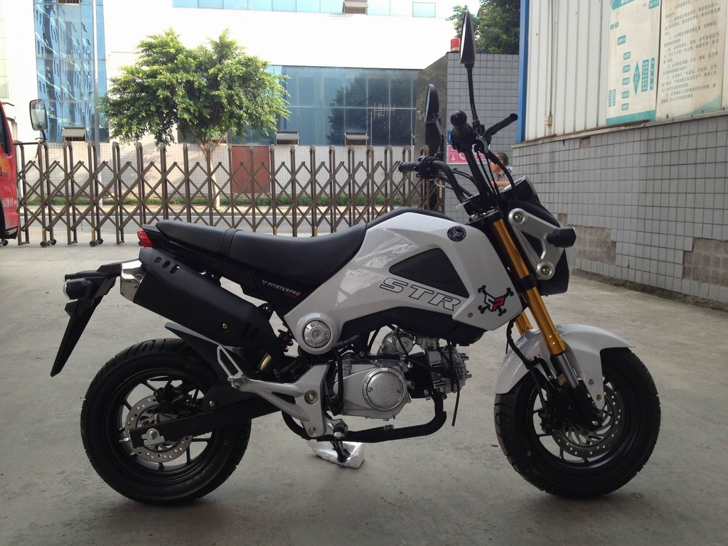Plastica Pitsterpro STR Izquierda Tanque