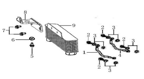 Arandela Tornillo Mangueras Radiador Pitsterpro / Kayo 150 – 160 cc