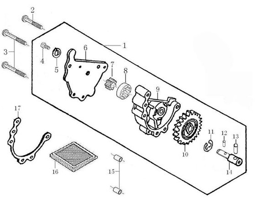 [TT1900120-B1/1] Bomba Aceite Pitsterpro / Kayo 150-160cc