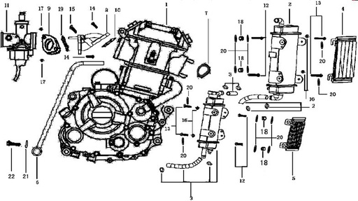 [DC02201-B1/C1] Empaquede Toma de Carburador para Pitsterpro XTR 250 LC
