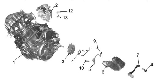 [XY00799-B2/F11] Piñon Delantero Pitsterpro LXT 400 / Formula XY 400