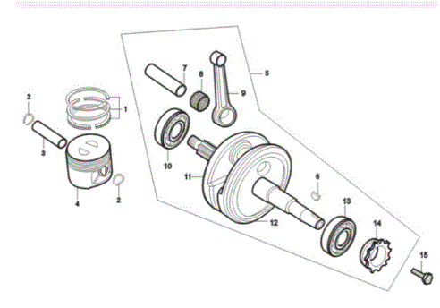Piston Kit Pitsterpro XTR250 LC 2009-11