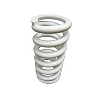 [DC00137-B1/59] Resorte de Compensador para Pitsterpro LX / LXR 155 -160 cc (50 – 60 kgs)