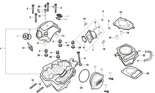 [DC01084-B1/C1-XTRLC] Tuercas Cabezote Kit Pitsterpro XTR 250 LC 2009-11