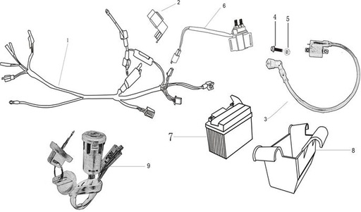 [BB00420-B1/B5] Cableado Instalación Pitsterpro XTR 250 AC / Kayo T2 -T4