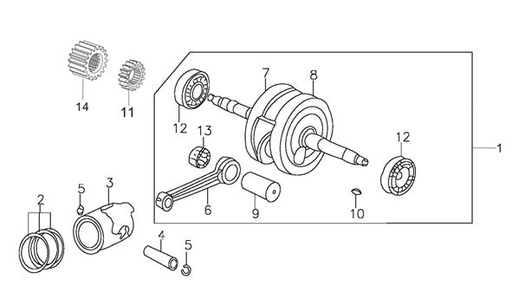 [PB00998-B1/28] Piñon de Ataque de Cigueñal de Manzana de Clutch kit para Pitsterpro / Kayo 150 - 160 cc