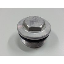 [CM01459-OF/X3-G] Tornillo Tapon Carter Honda CGL 125 o Similar