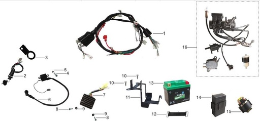[BB01931-B1/2-LXR250] Cableado Instalación Pitsterpro LXR 250 / Kayo K6 2017-18