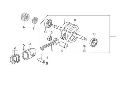 [CM0015-B1/E3] Piñon de Cigueñal Derecho para Pitsterpro Classic 125